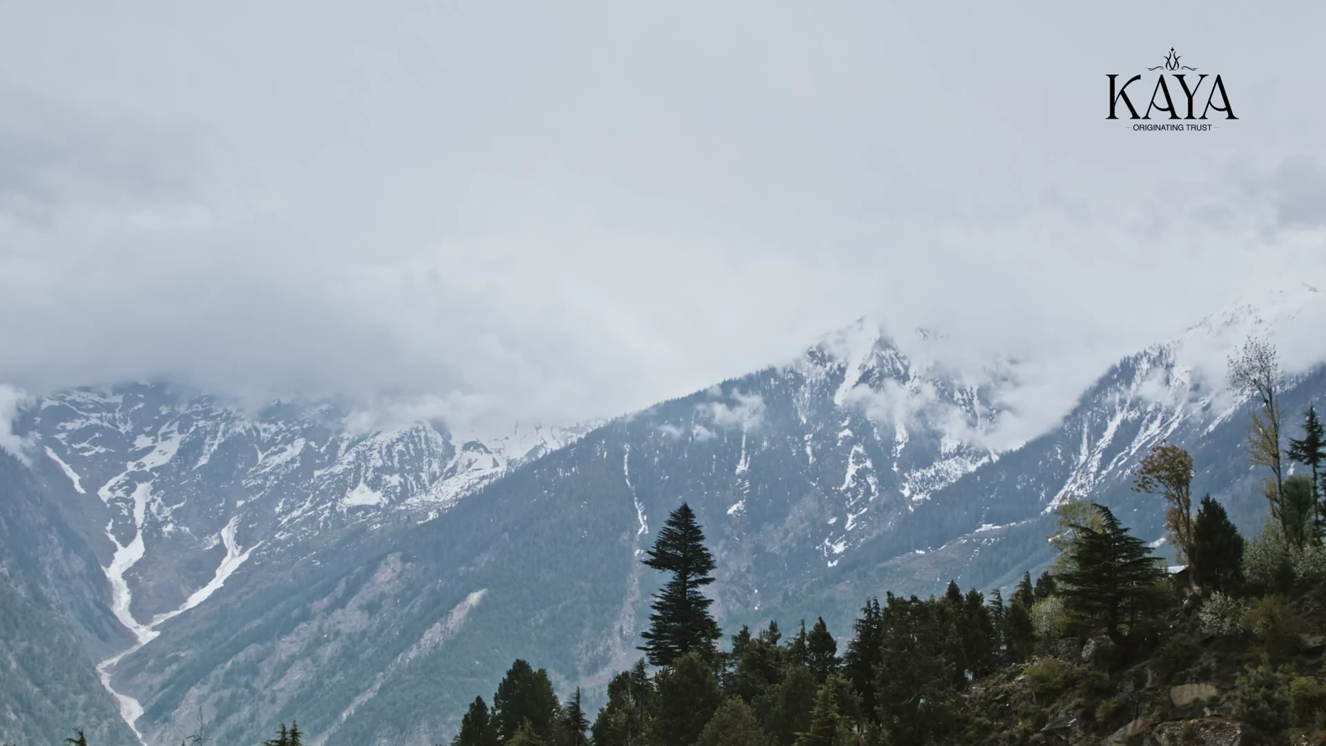 KAYA hero — Himalayan wellness and Ayurvedic products