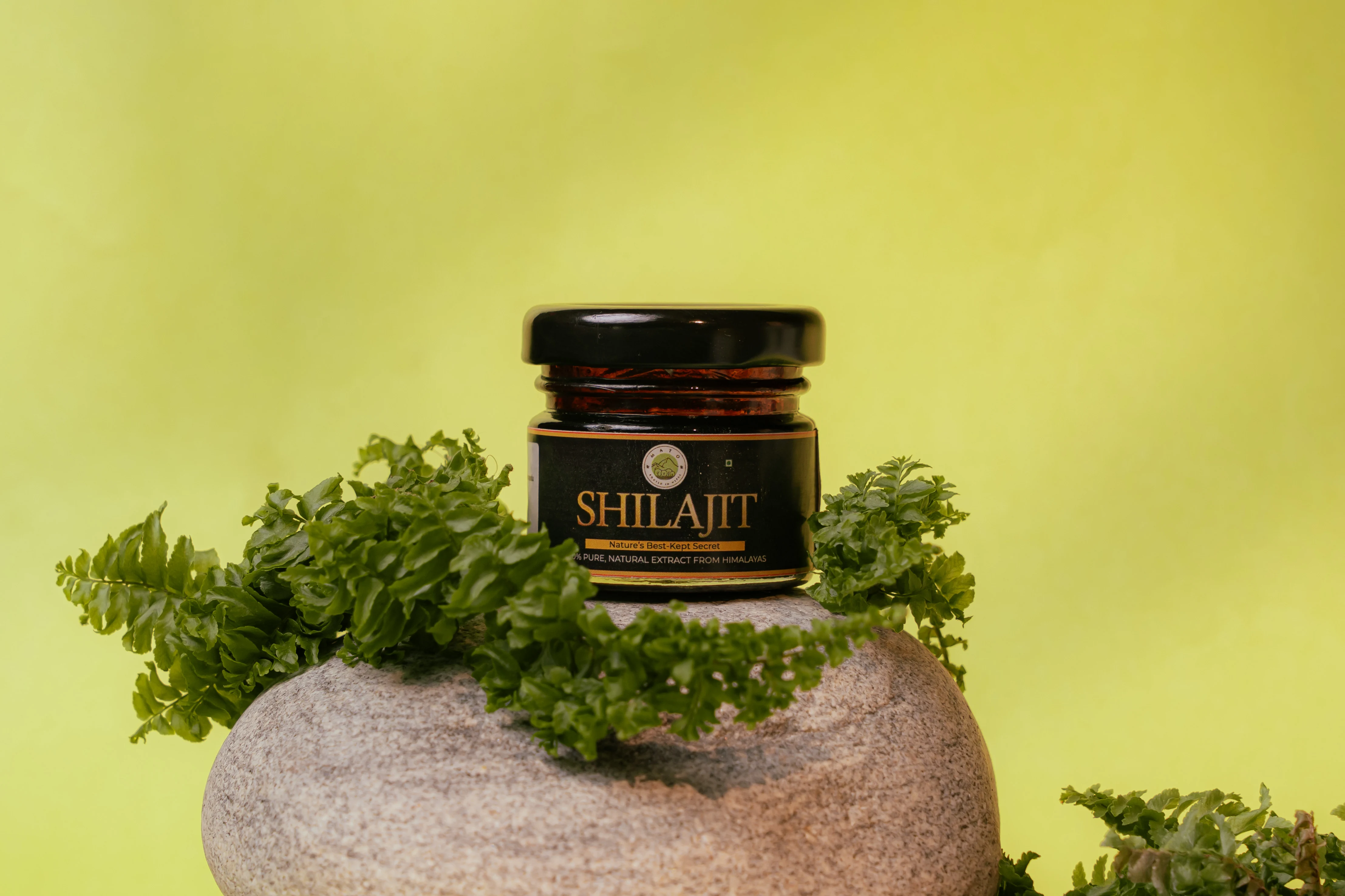  Shilajit