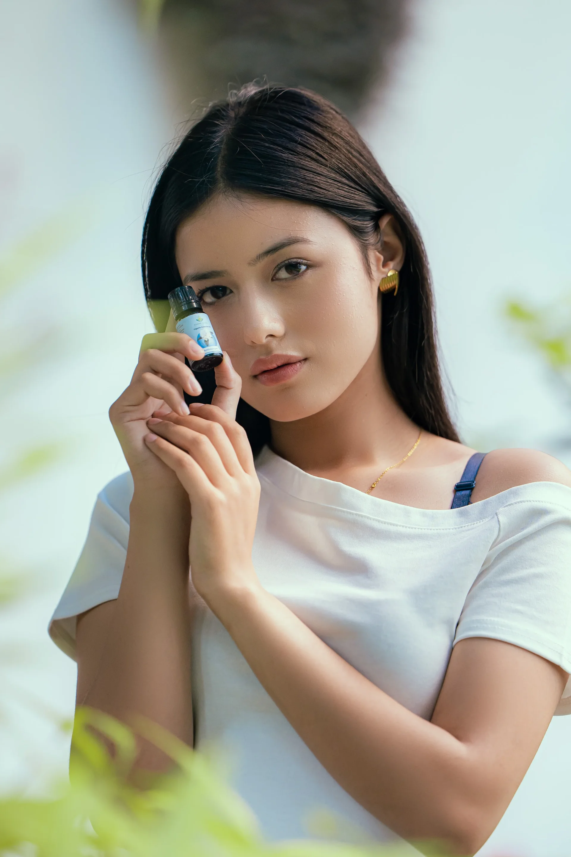 Validator rewards visual